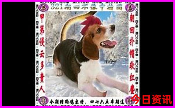 秦皇岛阿那亚景区